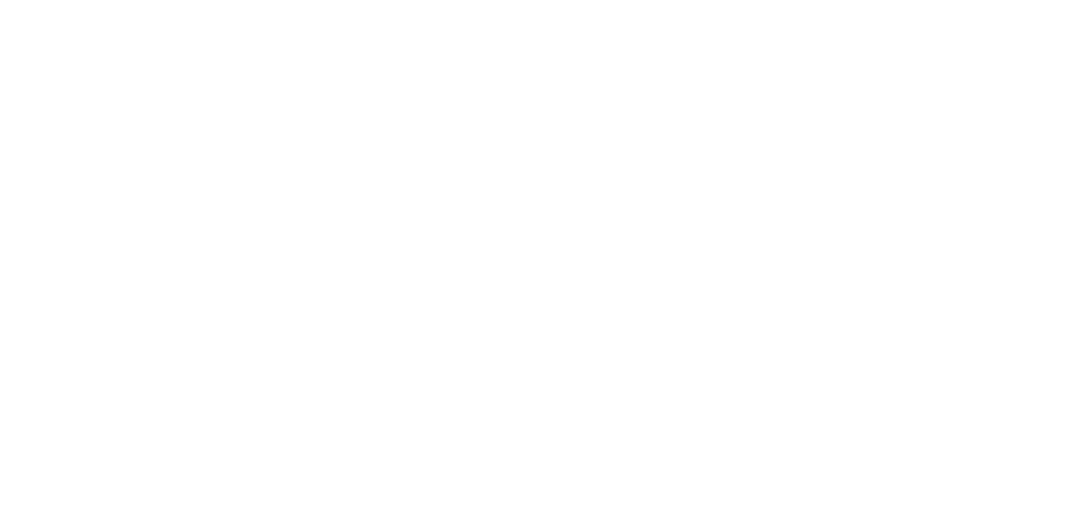NPVC 2025 WHITE LOGO