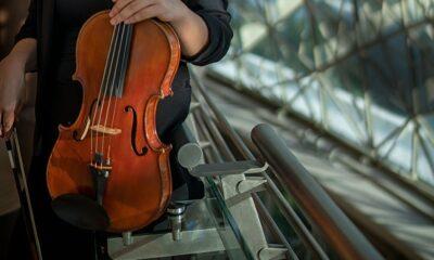 All about the Viola