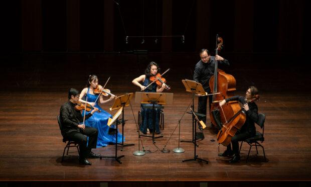 SSO Musical Moments At Woodlands