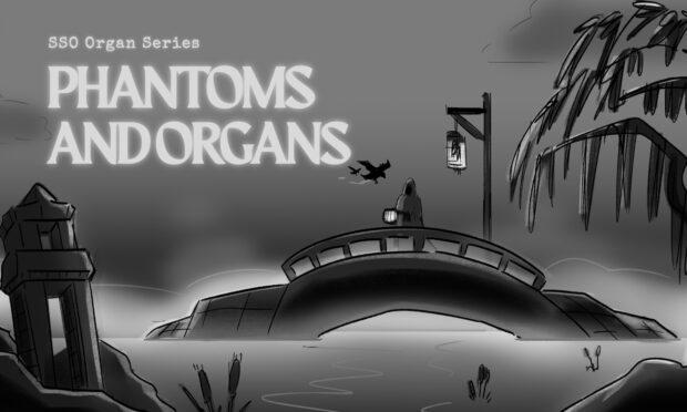 Phantoms and Organs