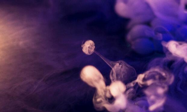 Mozart's Violet and Beethoven's Serioso (Online)