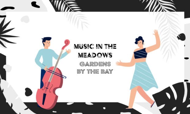 Music in the Meadows 2022